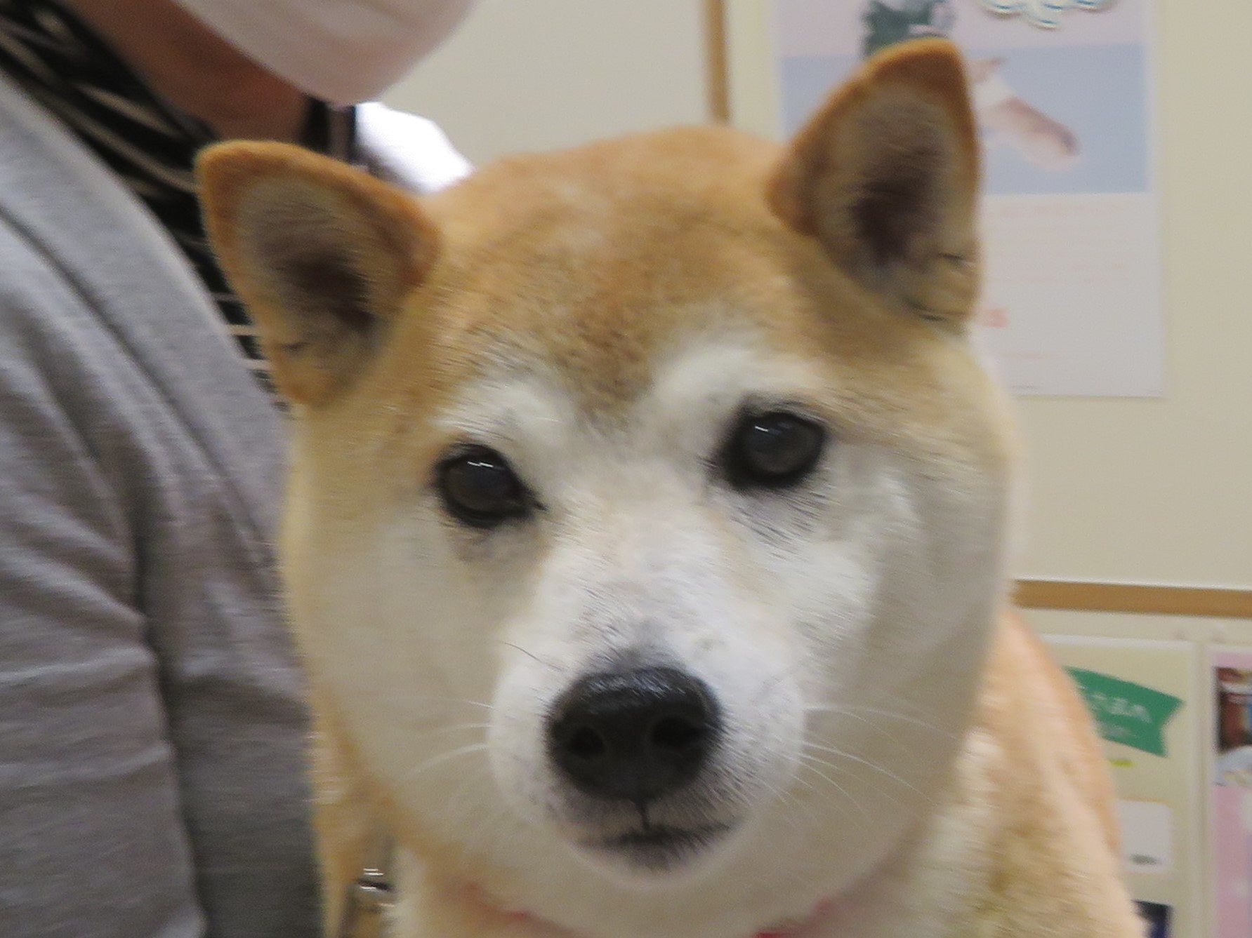 4 月 21 日の写真_c0174644_19404864.jpg
