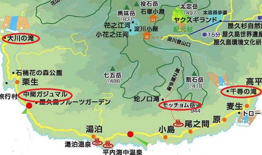 <2021年4月中旬>世界遺産「屋久島」の旅:④(島内周遊・観光編)_c0119160_14524306.jpg