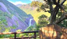 <2021年4月中旬>世界遺産「屋久島」の旅:④(島内周遊・観光編)_c0119160_15002338.jpeg