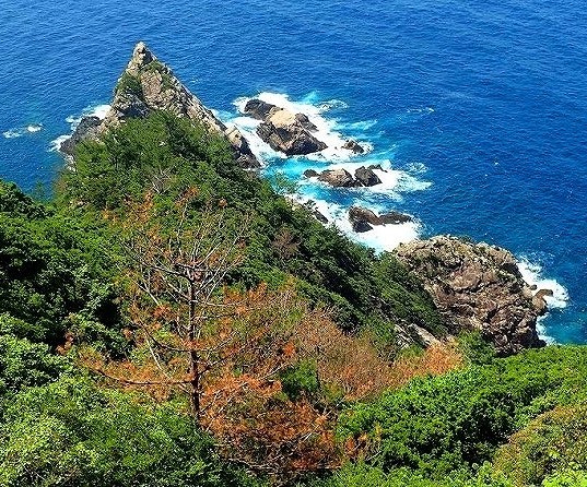 <2021年4月中旬>世界遺産「屋久島」の旅:④(島内周遊・観光編)_c0119160_15515813.jpg