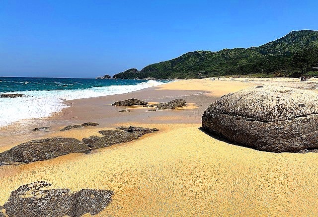 <2021年4月中旬>世界遺産「屋久島」の旅:④(島内周遊・観光編)_c0119160_16355219.jpg