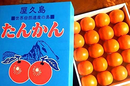 <2021年4月中旬>世界遺産「屋久島」の旅:④(島内周遊・観光編)_c0119160_17022207.jpg