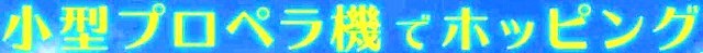 <2021年4月中旬>世界遺産「屋久島」の旅:④(島内周遊・観光編)_c0119160_17384487.jpg