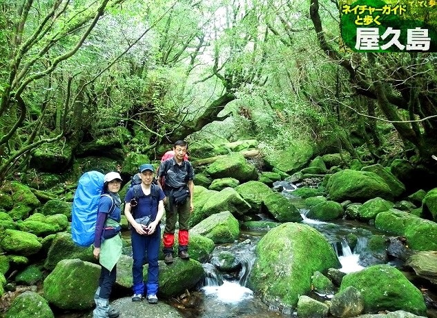 <2021年4月中旬>世界遺産「屋久島」の旅:④(島内周遊・観光編)_c0119160_19253394.jpg