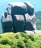 <2021年4月中旬>世界遺産「屋久島」の旅:④(島内周遊・観光編)_c0119160_20241437.jpeg