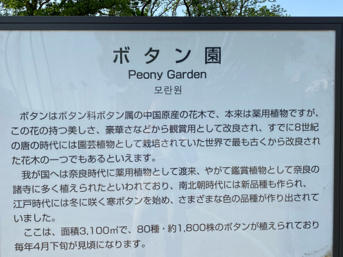 長居植物園_e0136066_07351024.jpg