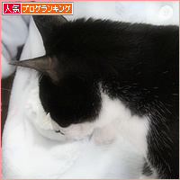 モミモミの心_a0389088_15492409.jpg