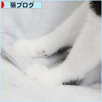モミモミの心_a0389088_15492449.jpg