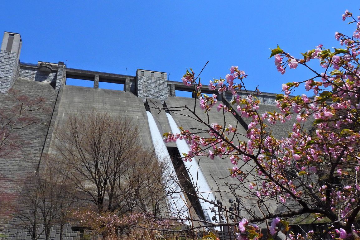 四万川ダムって、キレイな姿形が気に入った♪・・・4月19日奥四万湖紀行♪_a0031821_16034263.jpg