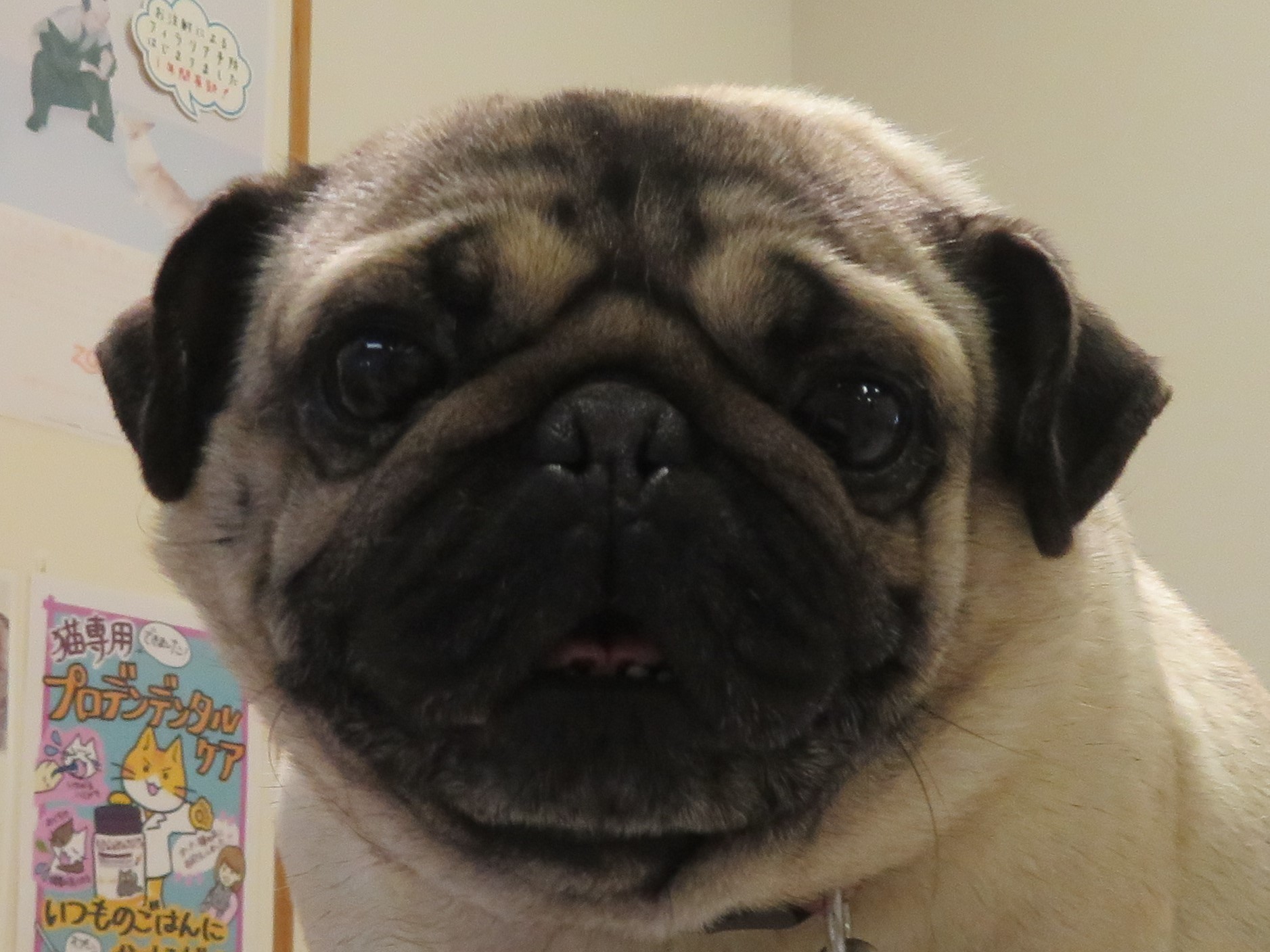 4月22日の写真_c0174644_12502256.jpg