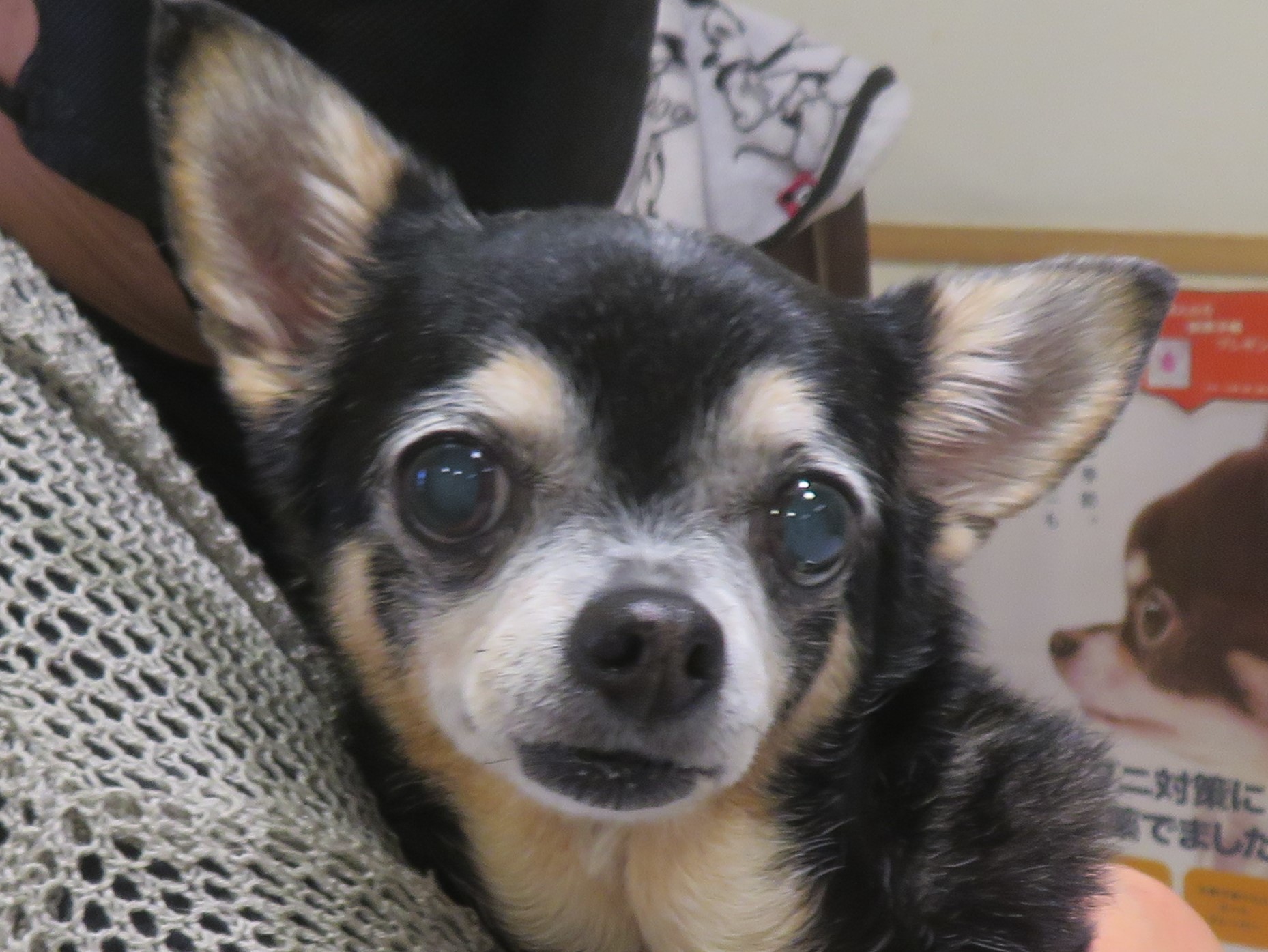 4月22日の写真_c0174644_12510207.jpg