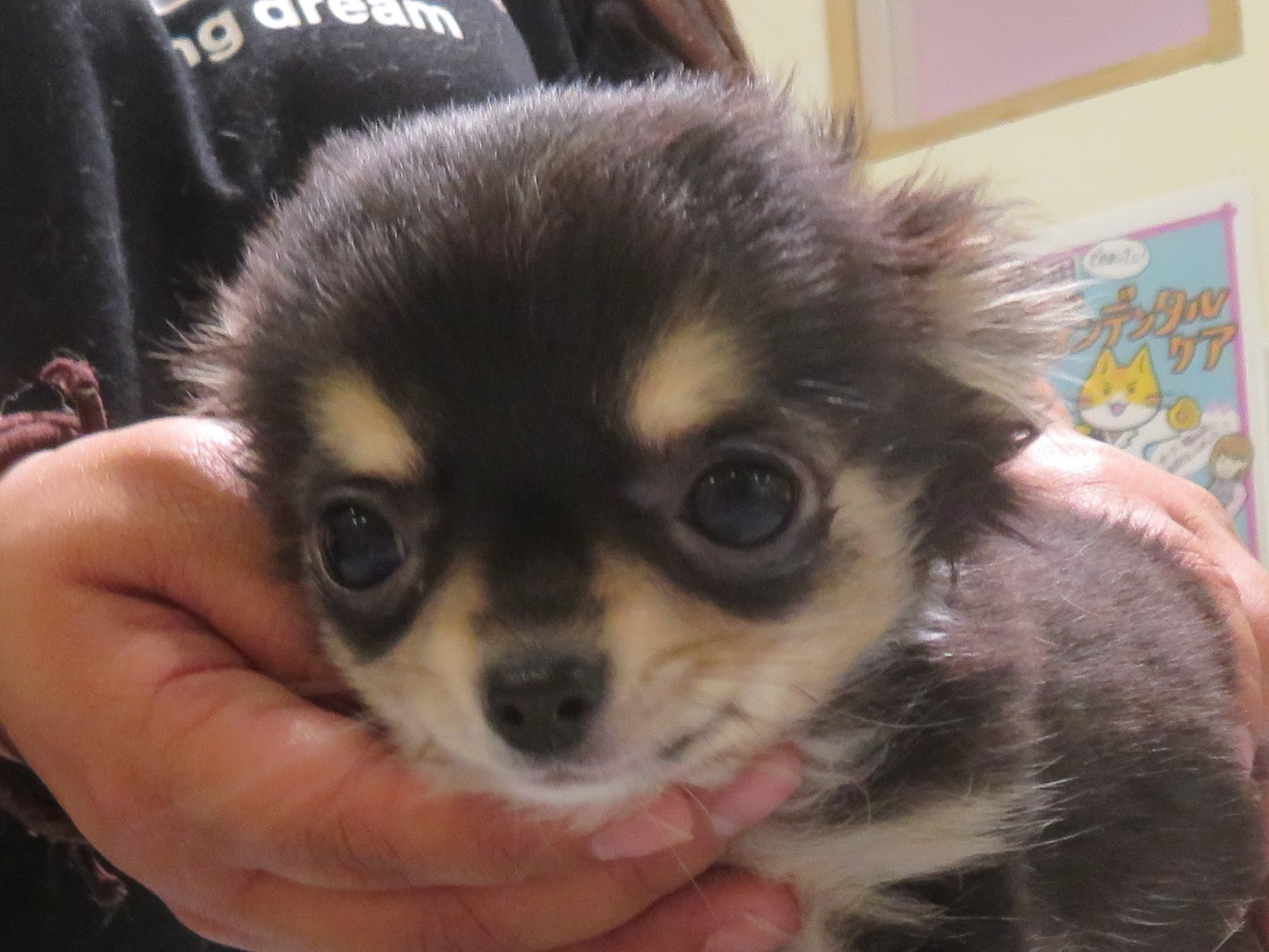 4月22日の写真_c0174644_13282636.jpg