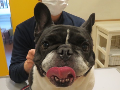 4月22日の写真_c0174644_19324670.jpg