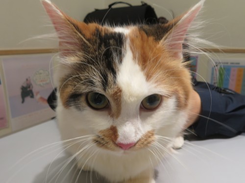 4月22日の写真_c0174644_19324719.jpg