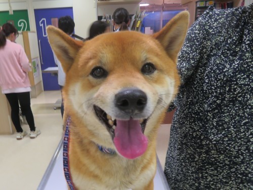 4月22日の写真_c0174644_19330845.jpg