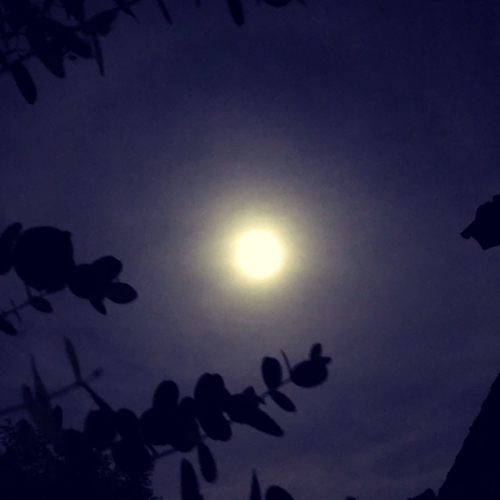 夜明け_e0338479_20200634.jpg