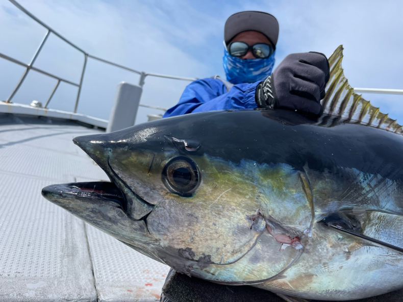 4月23日 マグロ キャスティング 便。 : 三重県 志摩沖 つり船 まると屋