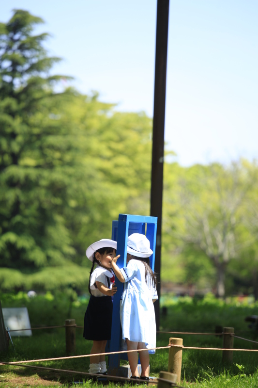 春の花たち!_f0220915_17180780.jpg