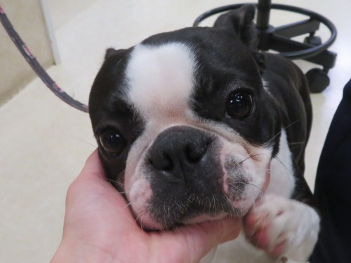 4月23日の写真_c0174644_20340462.jpg