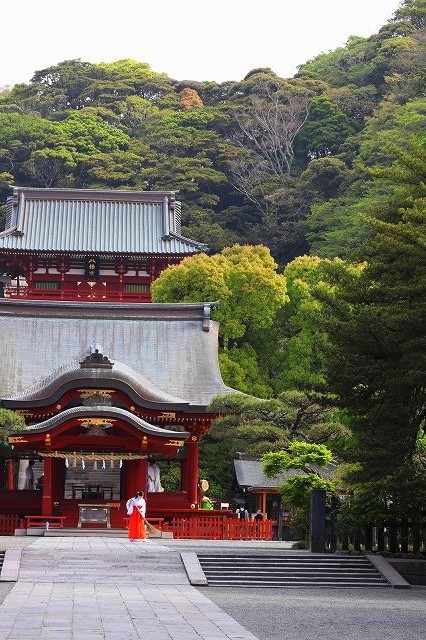 鶴岡八幡宮 朝の風景と花手水 暮らしを紡ぐ2