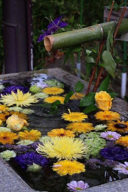 鶴岡八幡宮 朝の風景と花手水 暮らしを紡ぐ2