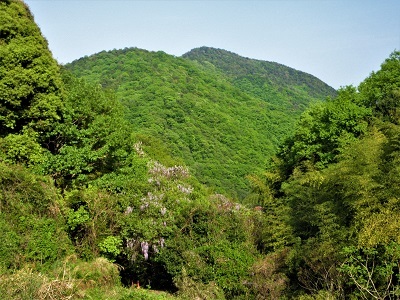 藤色の滝が山に里に_e0175370_21215040.jpg