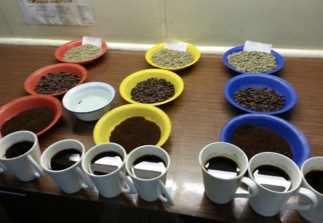 本日04/22(金)に新たに焙煎いたしました13種類のコーヒー豆です_e0253571_18524397.jpeg