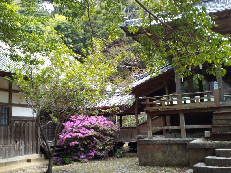 壱岐・対馬一宮巡拝_b0109511_08230713.jpg