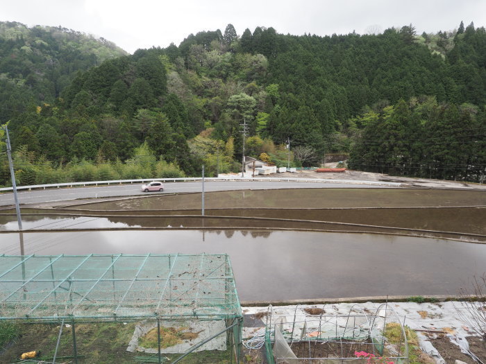 小雨のち晴れ_c0116915_23053986.jpg