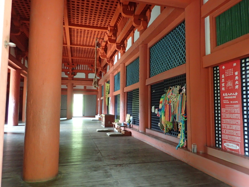 太山寺原生林(観音山)_c0218841_14051278.jpg