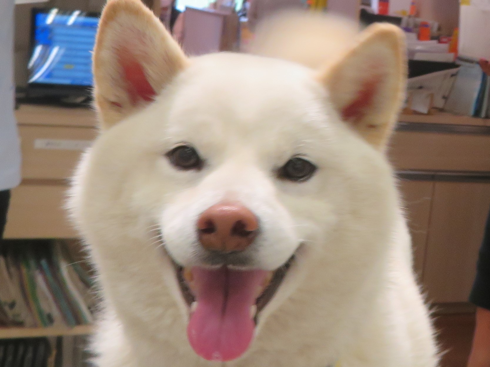 4 月 24 日の写真_c0174644_13495121.jpg