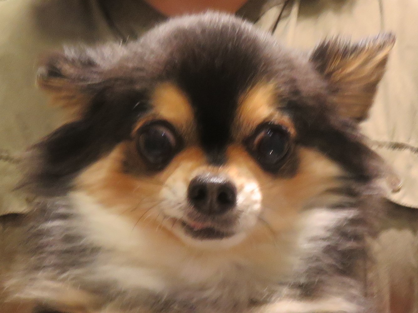 4 月 24 日の写真_c0174644_13495290.jpg