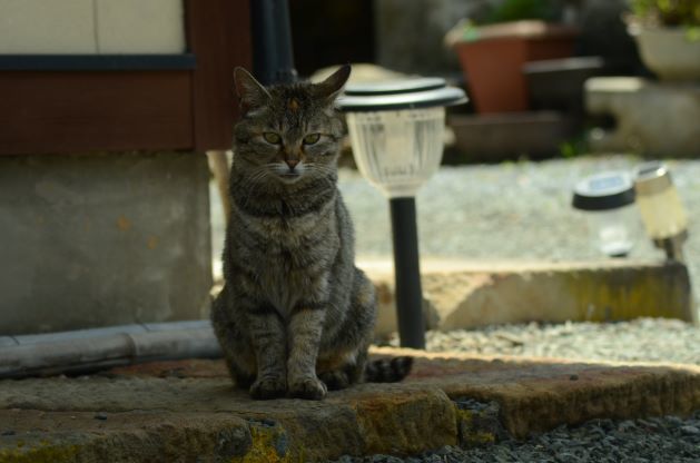 気分は連休♪_a0158478_15440315.jpg