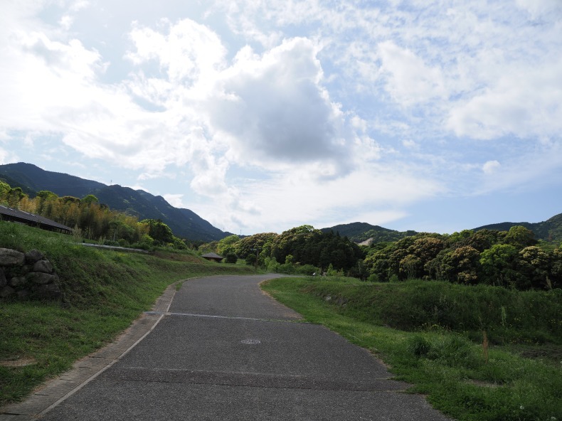 ~さとやま~ 日陰者たちも生きている_d0394588_19381341.jpg