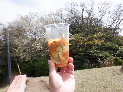 過去ログへのジャンプ_e0077899_07570656.jpg