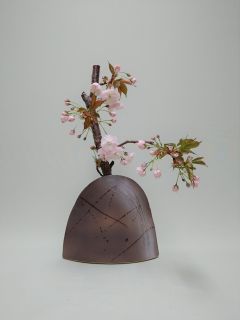八重桜の蕾_c0165824_21252035.jpg