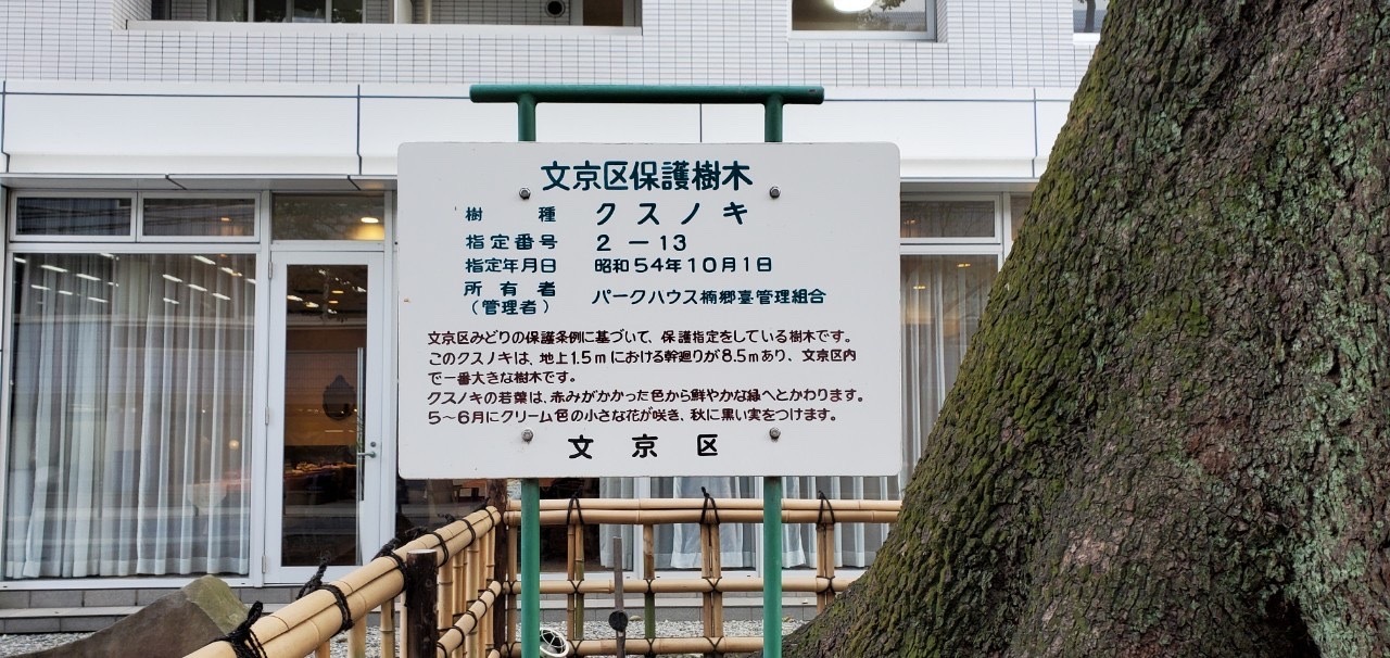 東京で私のワイン〜クリマ・ディ・トスカーナ_d0136540_02161283.jpeg