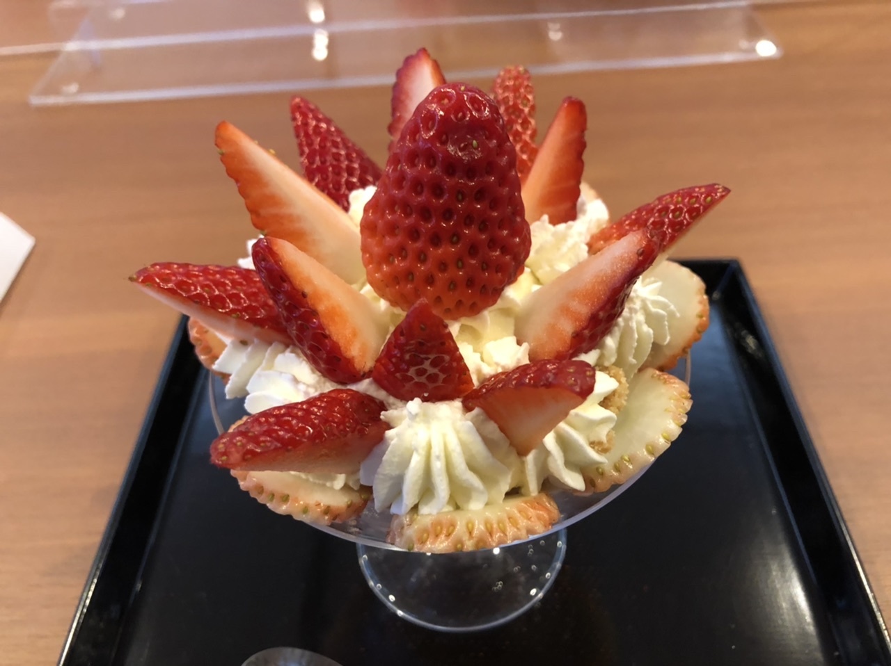 日本ではー_d0136540_02313098.jpeg