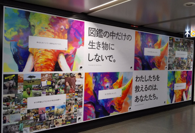 「ゾウとサイのためのグローバルマーチ東京2021」は銀座でポスターのマーチです！？_a0280851_15333095.jpg