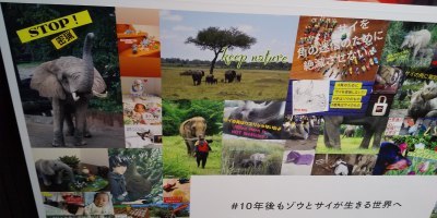 「ゾウとサイのためのグローバルマーチ東京2021」は銀座でポスターのマーチです！？_a0280851_16065339.jpg