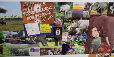 「ゾウとサイのためのグローバルマーチ東京2021」は銀座でポスターのマーチです！？_a0280851_16085648.jpg
