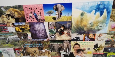 「ゾウとサイのためのグローバルマーチ東京2021」は銀座でポスターのマーチです！？_a0280851_16104094.jpg
