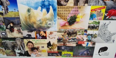 「ゾウとサイのためのグローバルマーチ東京2021」は銀座でポスターのマーチです！？_a0280851_16111835.jpg