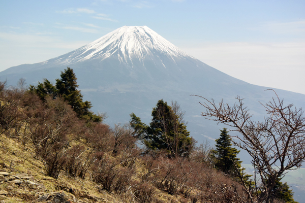 天子山地・毛無山_e0167571_16180476.jpg