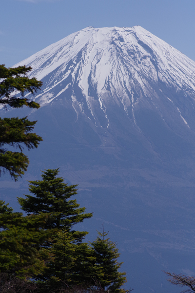 天子山地・毛無山_e0167571_16182526.jpg