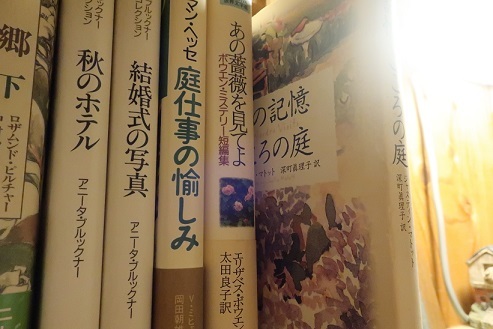 本棚の肥やし : アスタリスク日記