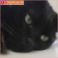 ぐだる猫_a0389088_15155148.jpg