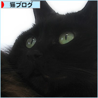 ぐだる猫_a0389088_15155287.jpg