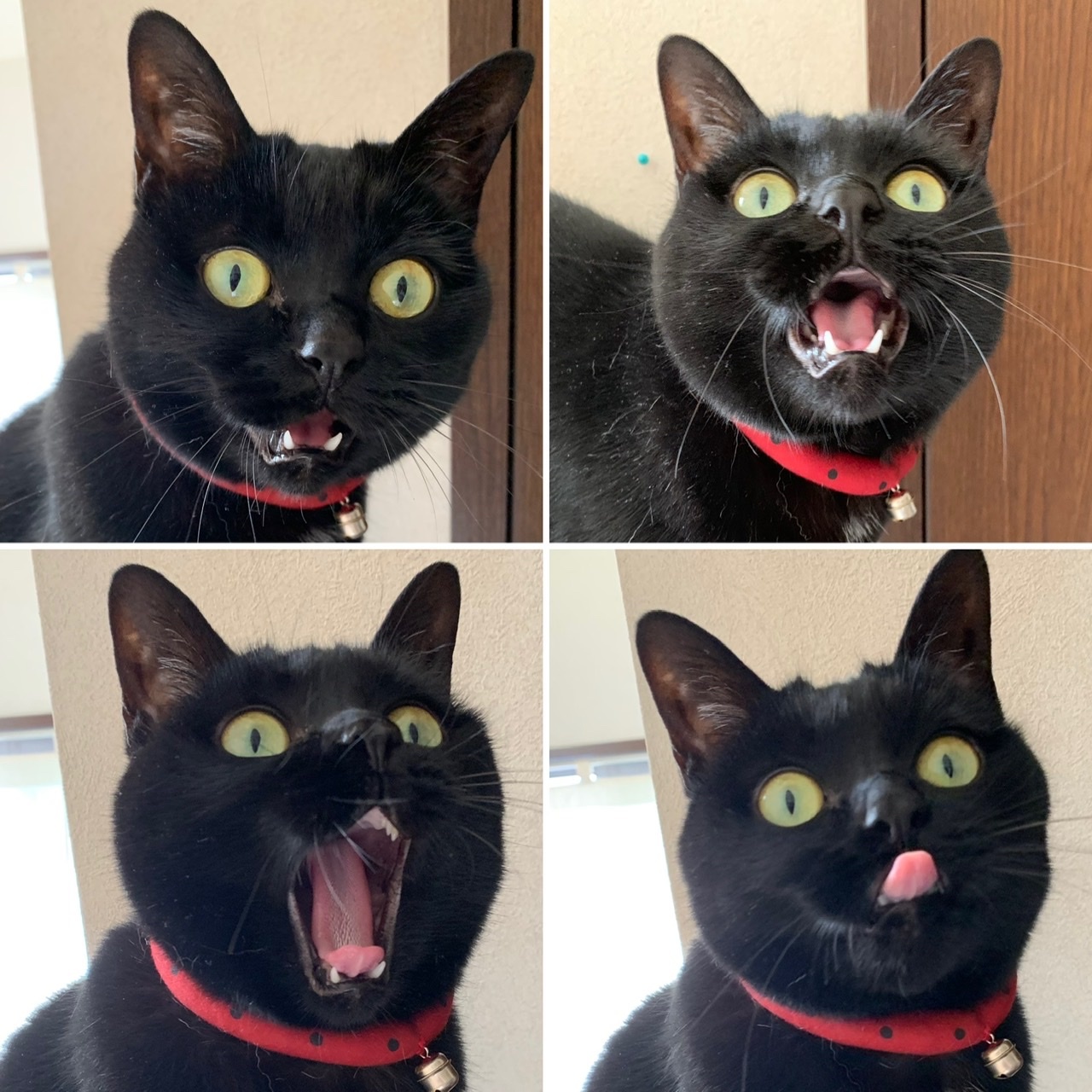 ベスト完成＼(^o^)／_e0358096_20384847.jpeg