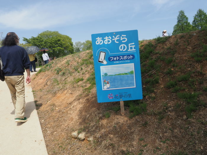 芝桜とネモフィラの丘（花夢の里）_c0116915_01143915.jpg